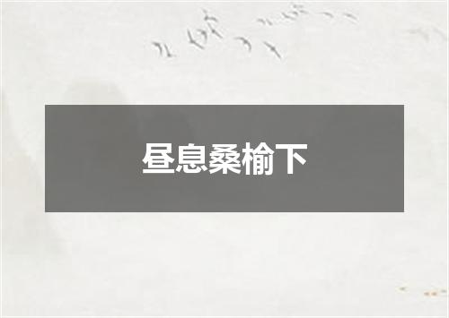 昼息桑榆下