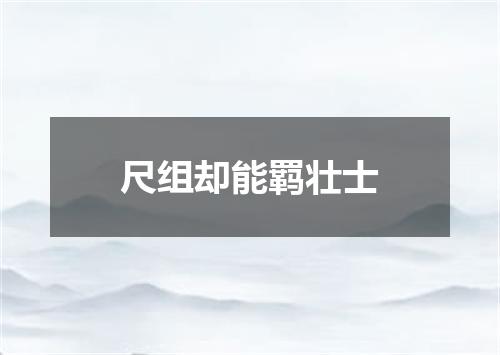 尺组却能羁壮士