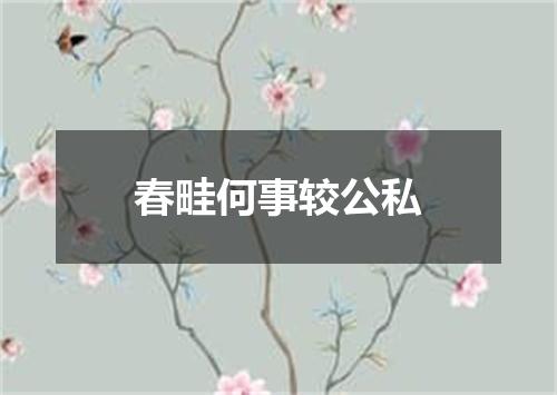 春畦何事较公私
