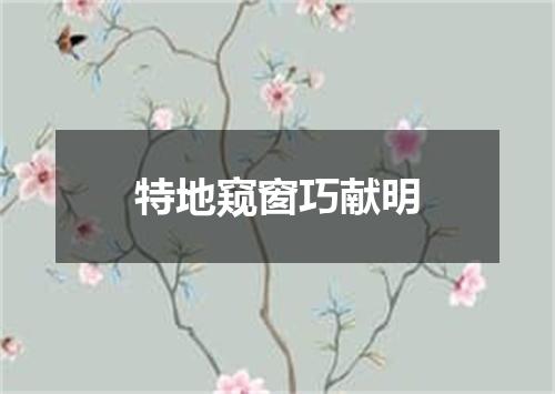特地窥窗巧献明