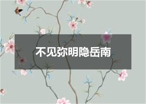 不见弥明隐岳南