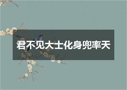 君不见大士化身兜率天