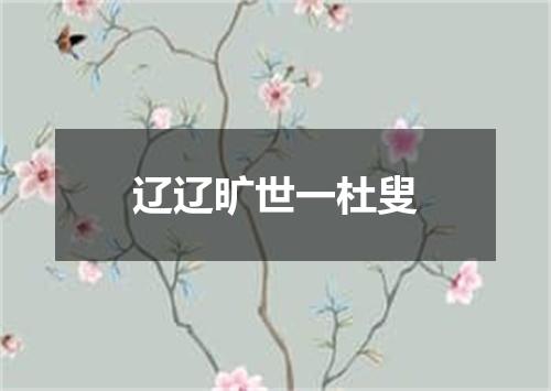 辽辽旷世一杜叟