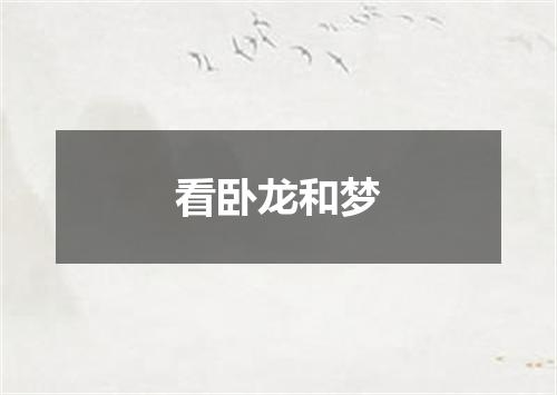看卧龙和梦