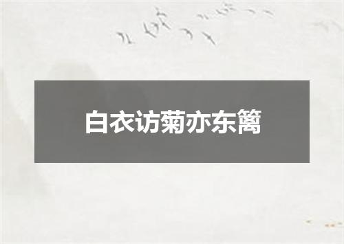 白衣访菊亦东篱