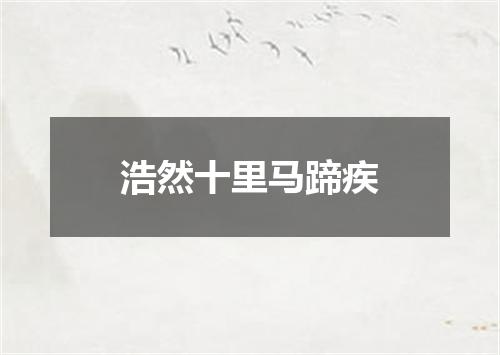 浩然十里马蹄疾