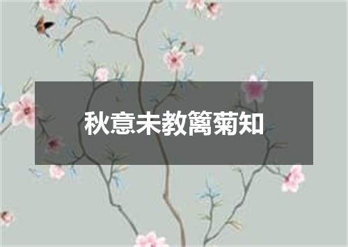 秋意未教篱菊知