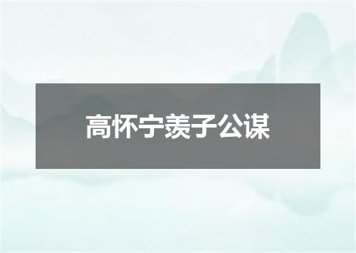 高怀宁羡子公谋
