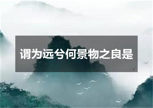 谓为远兮何景物之良是