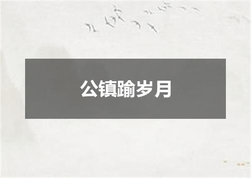 公镇踰岁月