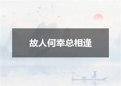 故人何幸总相逢