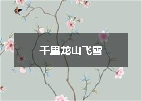 千里龙山飞雪