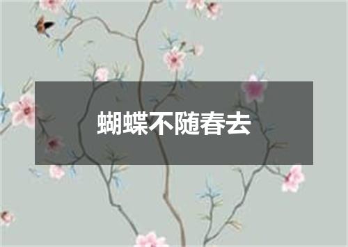蝴蝶不随春去