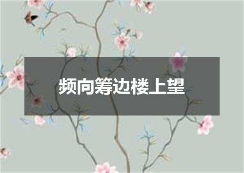 频向筹边楼上望