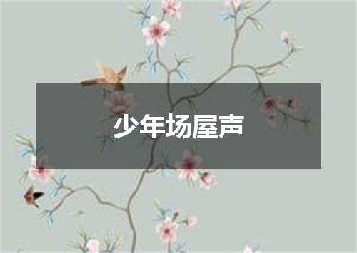 少年场屋声