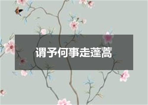 谓予何事走蓬蒿