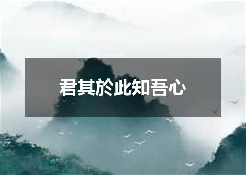 君其於此知吾心