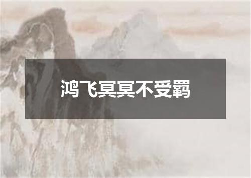 鸿飞冥冥不受羁