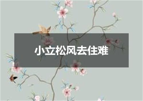 小立松风去住难