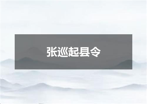 张巡起县令