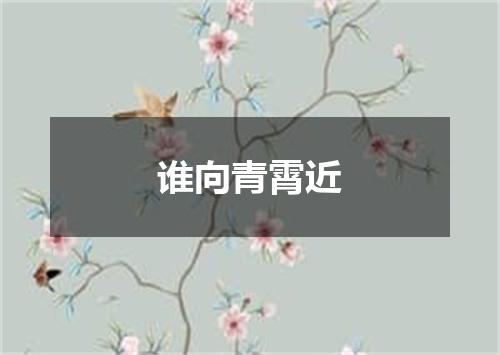 谁向青霄近