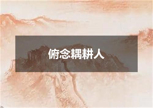 俯念耦耕人