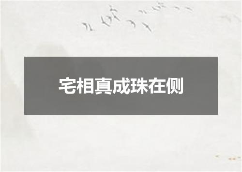 宅相真成珠在侧