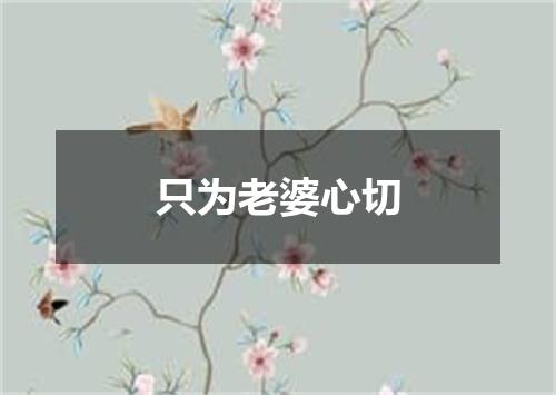 只为老婆心切