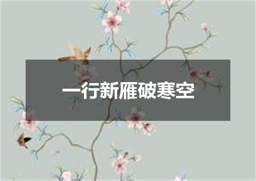 一行新雁破寒空