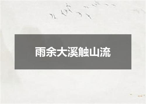 雨余大溪触山流