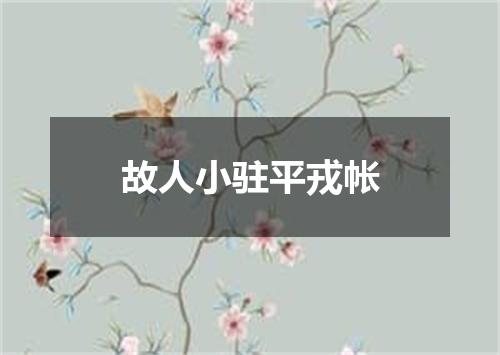 故人小驻平戎帐