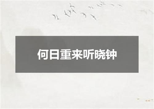 何日重来听晓钟