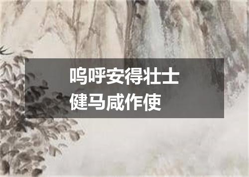 呜呼安得壮士健马咸作使