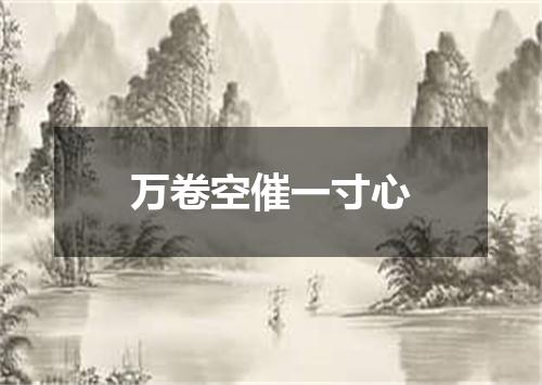 万卷空催一寸心
