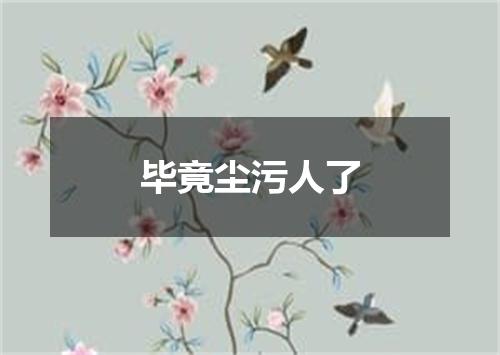 毕竟尘污人了