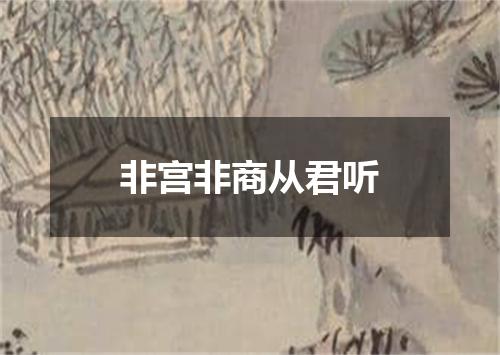 非宫非商从君听