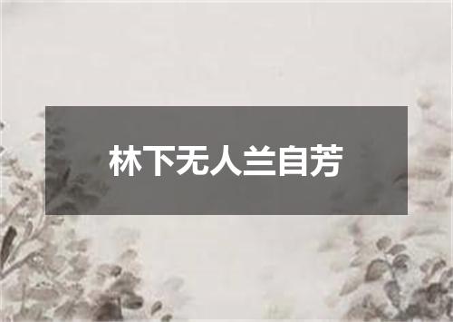 林下无人兰自芳