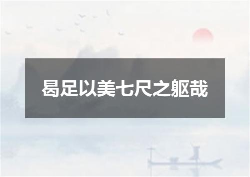 曷足以美七尺之躯哉