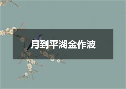 月到平湖金作波