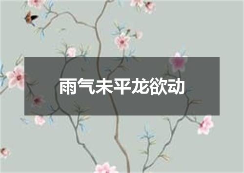 雨气未平龙欲动