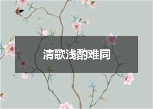 清歌浅酌难同