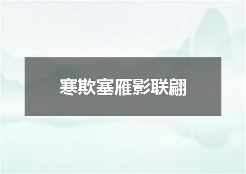 寒欺塞雁影联翩