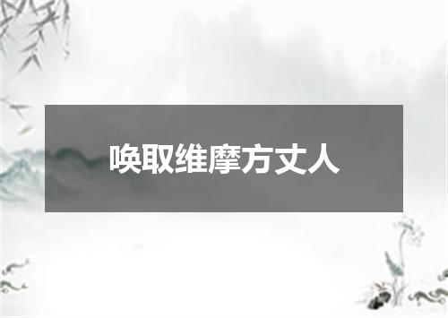 唤取维摩方丈人