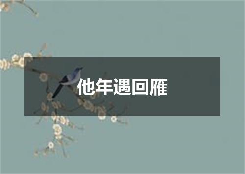 他年遇回雁