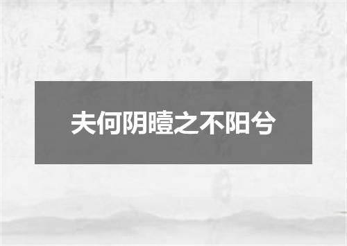 夫何阴曀之不阳兮