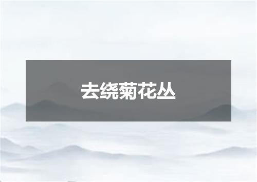 去绕菊花丛
