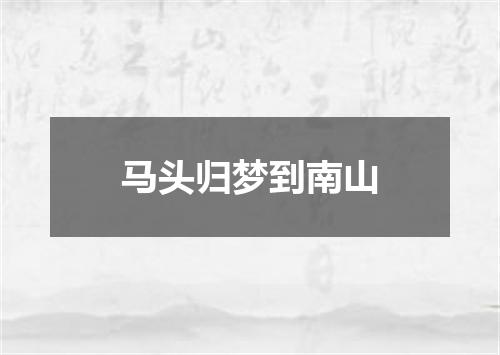马头归梦到南山
