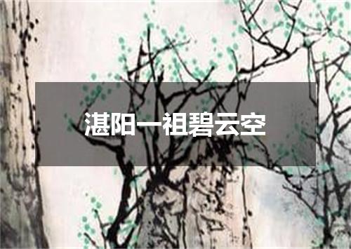 湛阳一祖碧云空