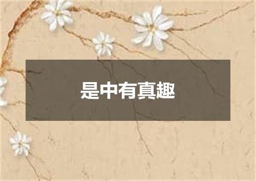 是中有真趣