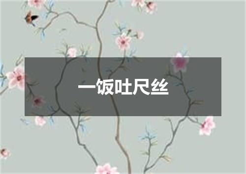 一饭吐尺丝